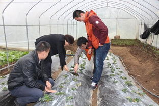 中国农学会专家深入普定开展精品水果优质化栽培管理培训，助推水果种植产业升级