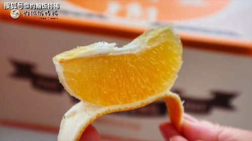 熊猫指南秋季榜 4种水果入选个个是精品，最后一个大有来头