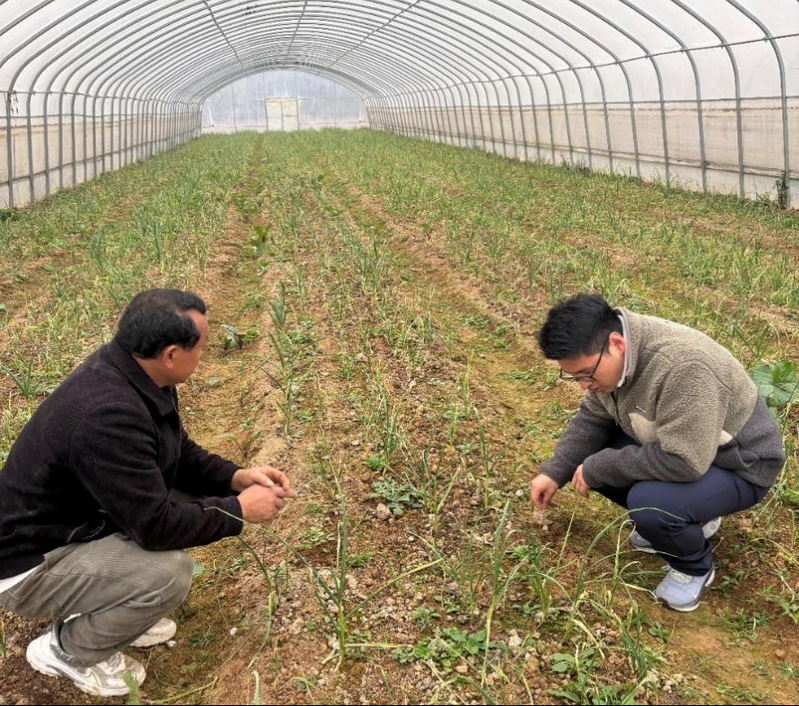 我院教师深入阳新开展果蔬种植技术服务，助力乡村振兴